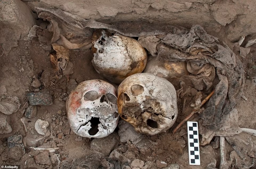 The installations of human spines found in Peru amazed archaeologists