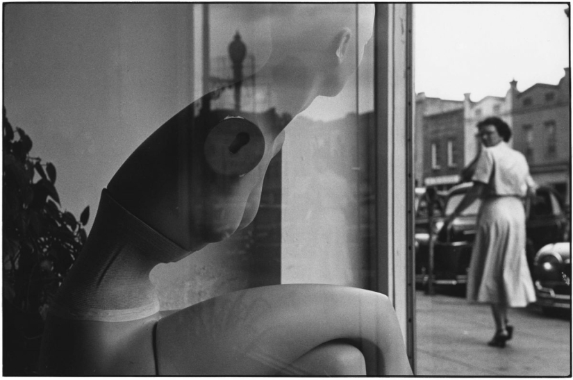 The journey on the road of life: expressive of classic photos of Elliott Erwitt