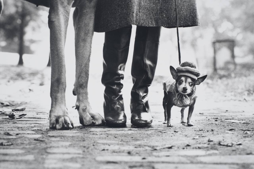 The journey on the road of life: expressive of classic photos of Elliott Erwitt