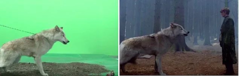 The Magic of Chromakey: 15 new shots of Game of Thrones before and after applying special effects