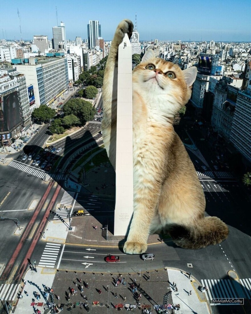 The master of Photoshop has shown what the world will be like if it is captured by cats