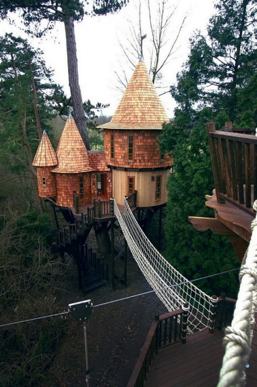 The most amazing tree houses