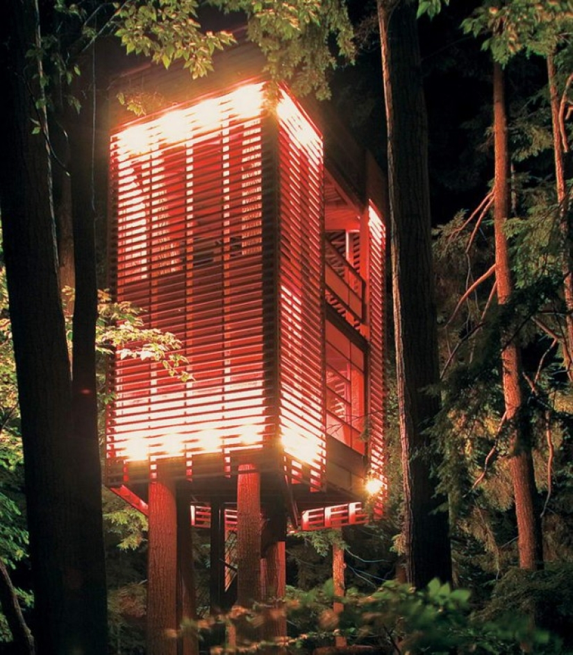 The most amazing tree houses