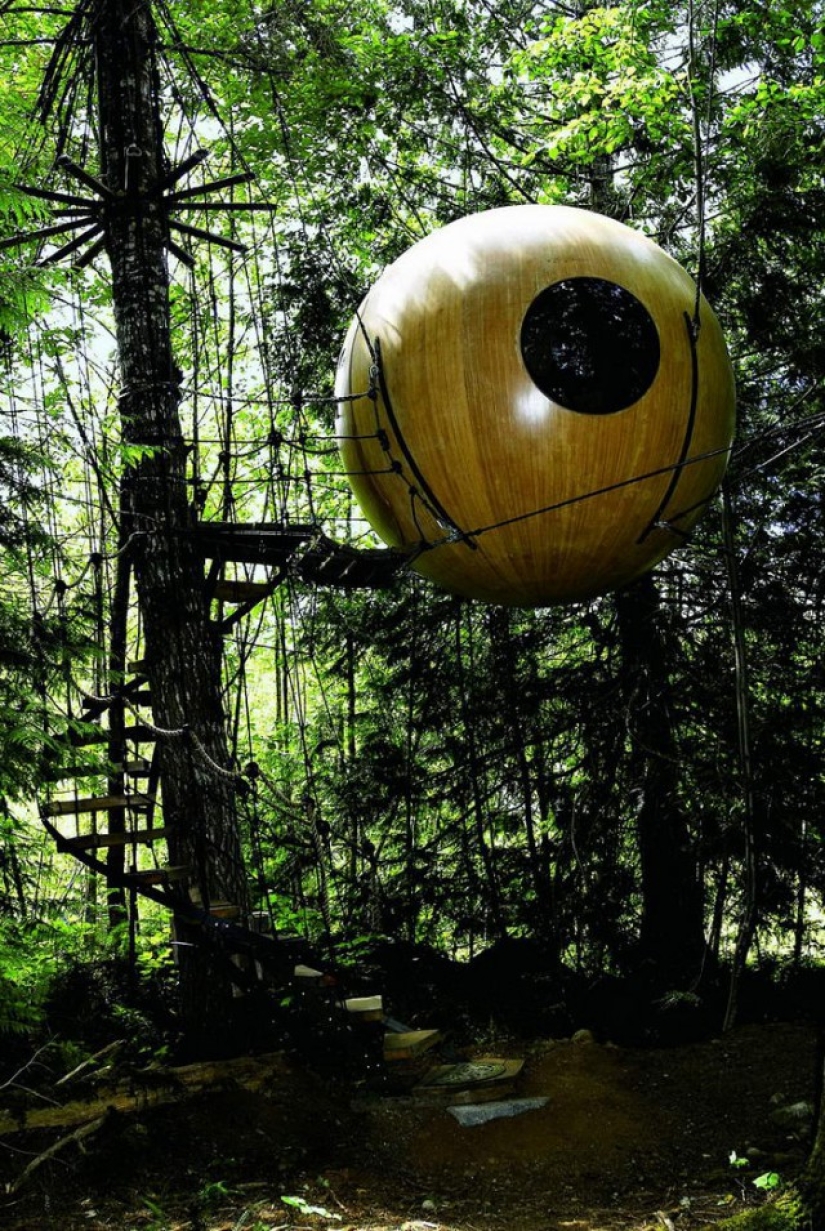 The most amazing tree houses