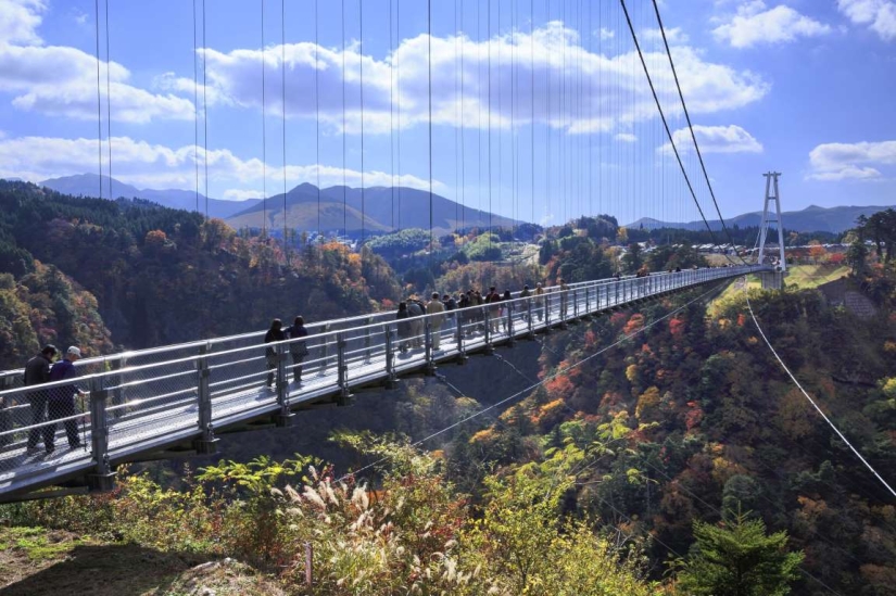 The most beautiful pedestrian bridges in the world