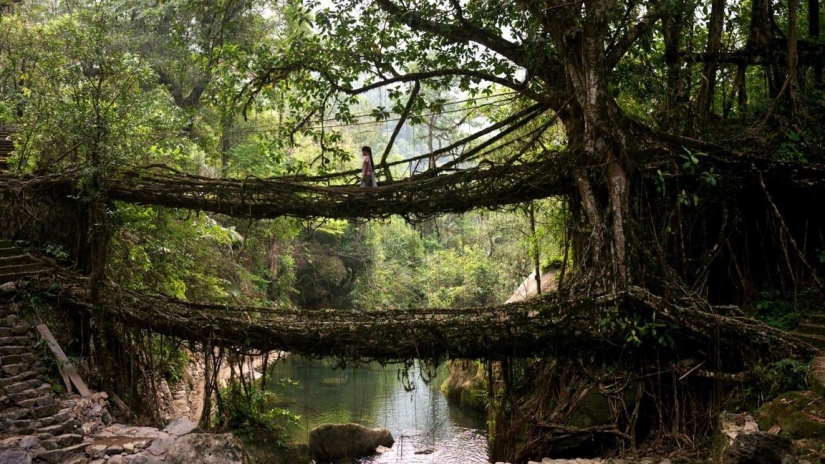 The most beautiful pedestrian bridges in the world