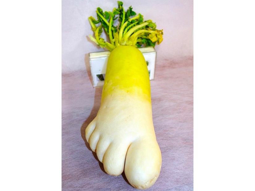 The most bizarre fruits and vegetables found in the garden