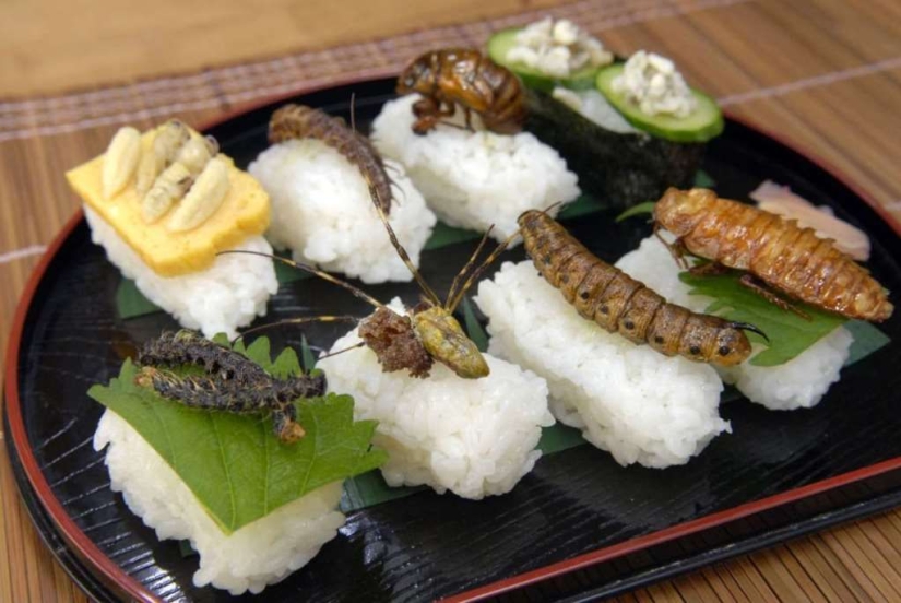 The most exotic sushi in the world