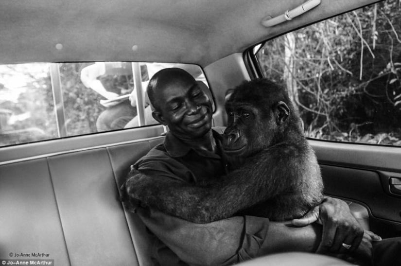The most touching photo from the best works of the Wildlife Photographer of the Year contest