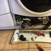 The mystery of the missing socks revealed