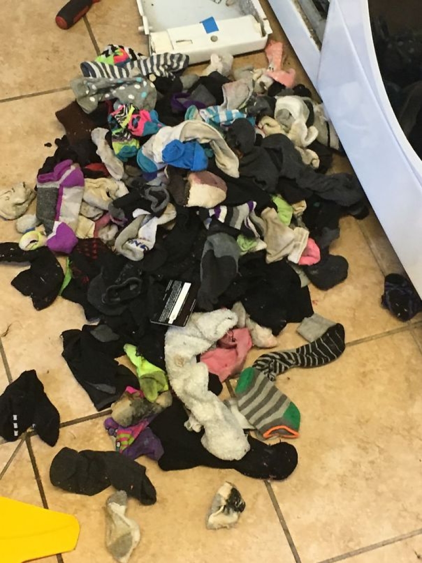 The mystery of the missing socks revealed