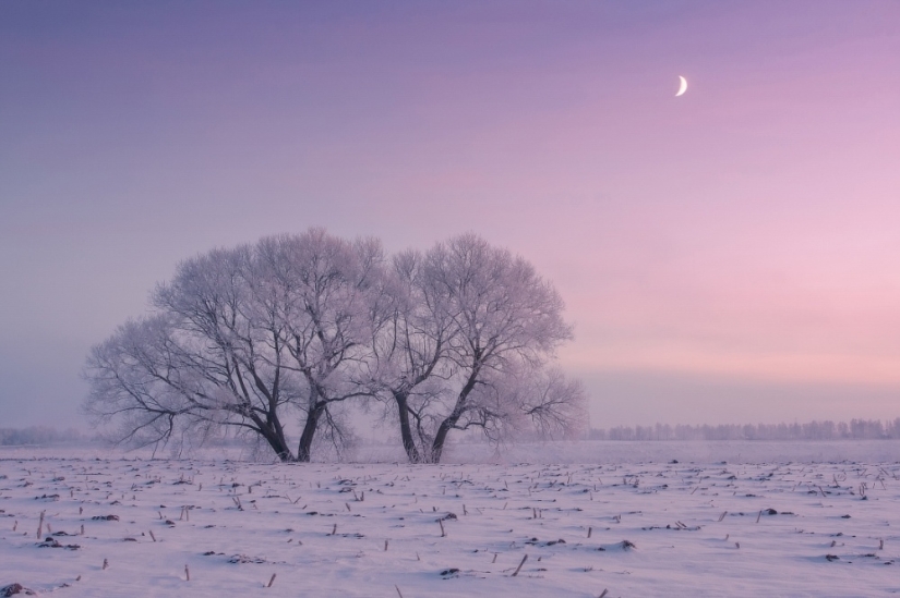 The photographer gets up early in the morning every day to capture the beauty of winter