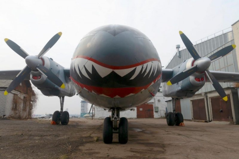 The plane from the movie "The Expendables-3" with the unsurpassed Schwarzenegger and Stallone landed in Kiev