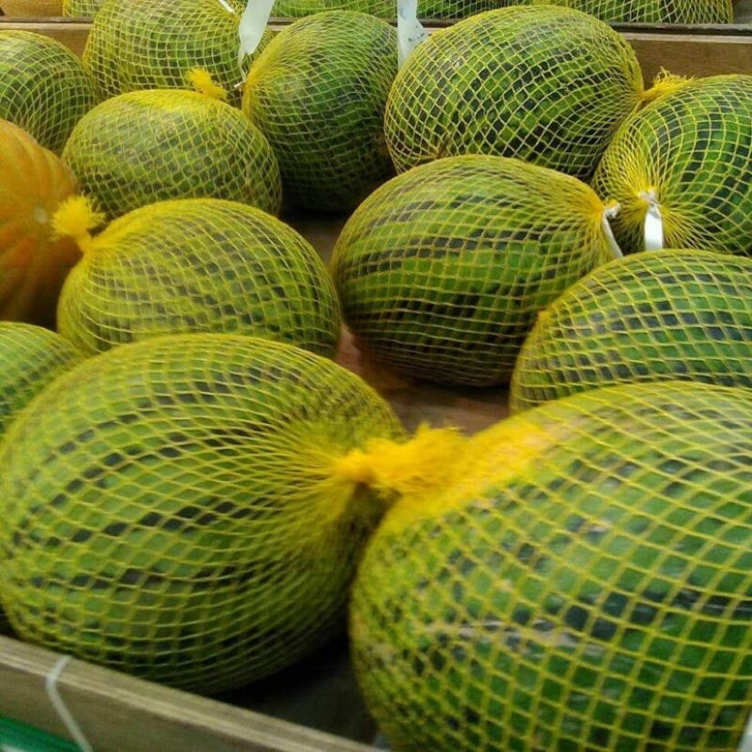 The plastic world has won 22 examples of how diligently people destroy the with plastic