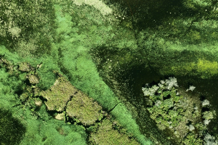 The pristine beauty of Africa in amazing aerial photos