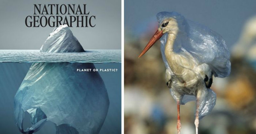The scariest thing inside: what the cover of the new issue of National Geographic magazine hides