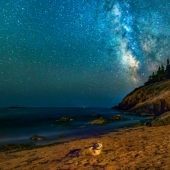 The seal got into the frame while the photographer was shooting the Milky Way