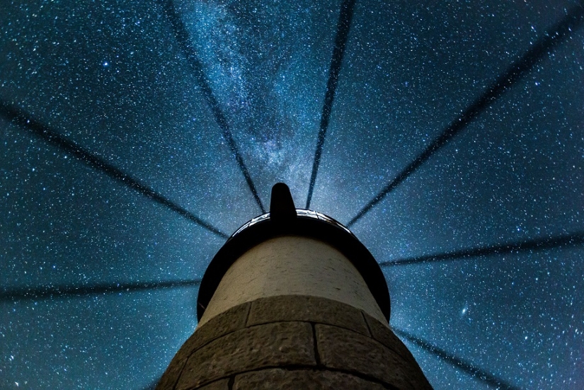 The seal got into the frame while the photographer was shooting the Milky Way