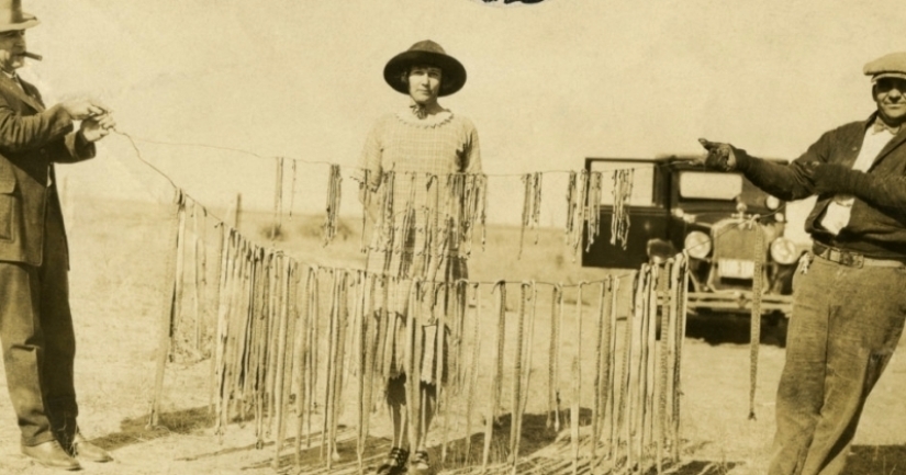 The story of the brave Katherine Sloterback, who killed 140 rattlesnakes and made a dress out of them