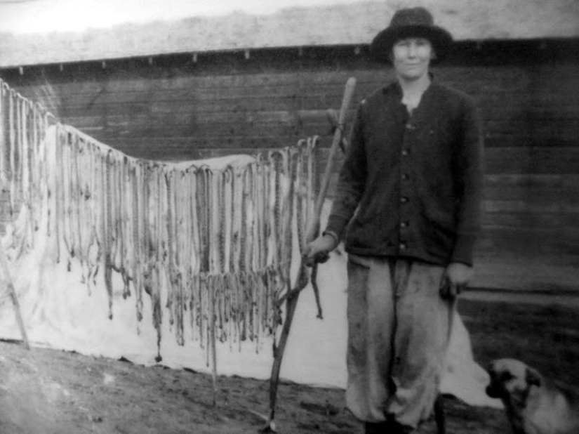 The story of the brave Katherine Sloterback, who killed 140 rattlesnakes and made a dress out of them