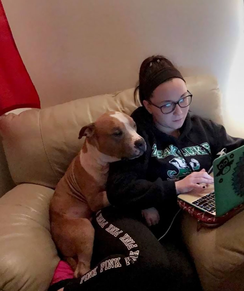 The student took the pit bull from the shelter, and he can't stop hugging her