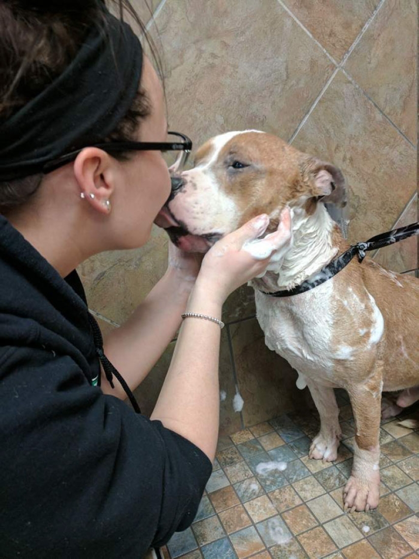 The student took the pit bull from the shelter, and he can't stop hugging her