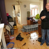 The tenants ran away from the rented house, leaving behind dirt, debts and an unhappy dog