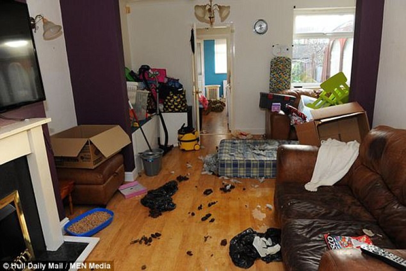 The tenants ran away from the rented house, leaving behind dirt, debts and an unhappy dog