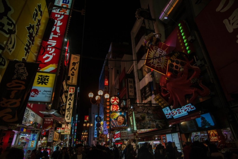The whole of Japan for a thousand dollars: instructions of a professional traveler