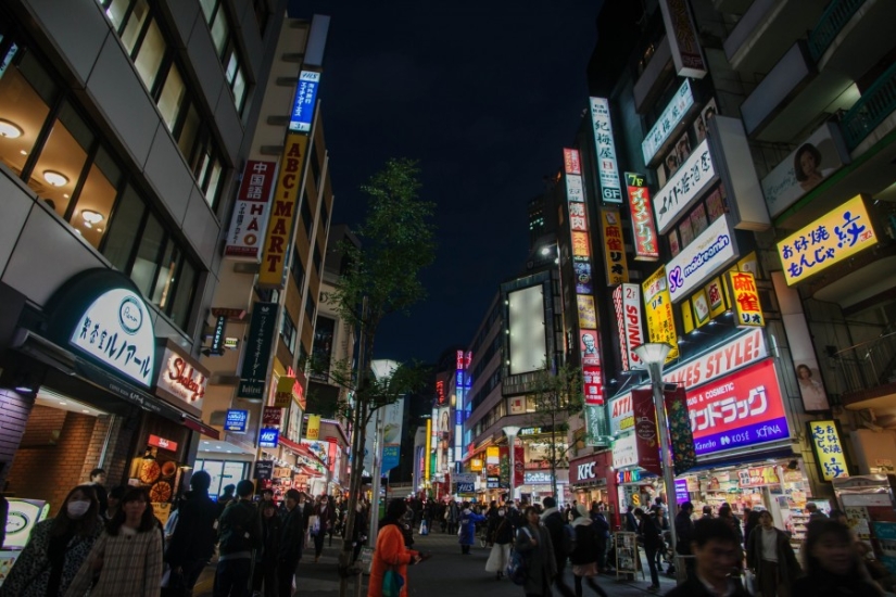 The whole of Japan for a thousand dollars: instructions of a professional traveler