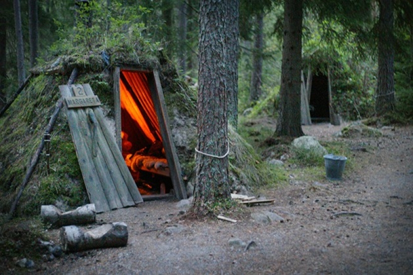 The wildest hotel in the forests of Sweden