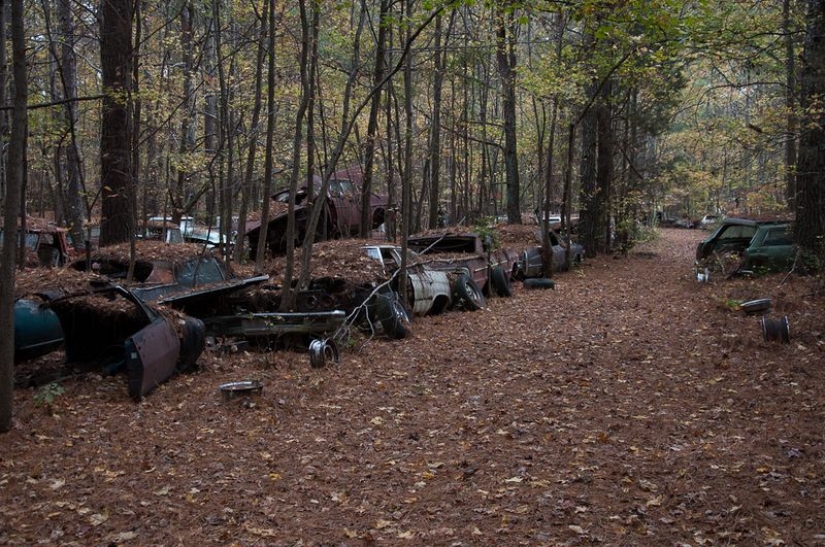 The world's largest cemetery of old cars