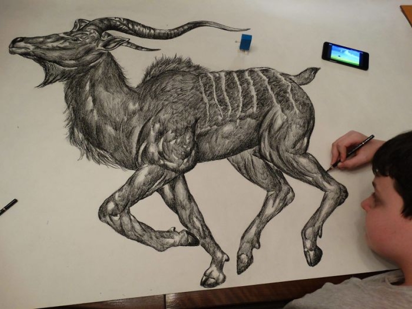 The young Serb has been drawing since the age of two and is already illustrating encyclopedias