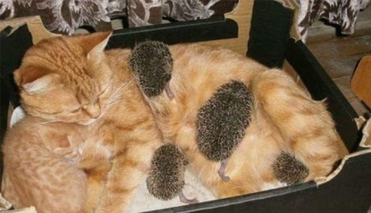 There are no other people's children