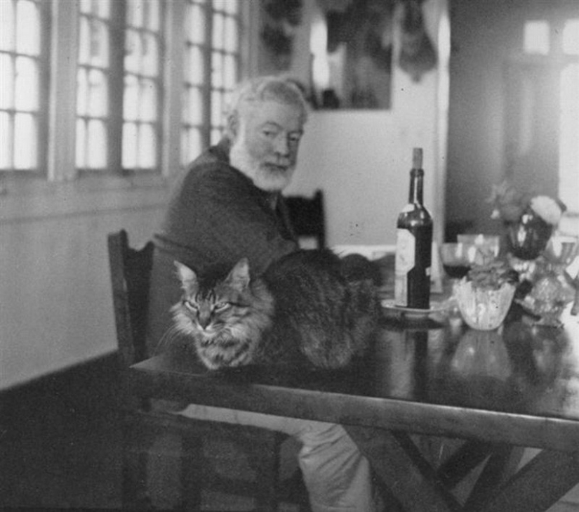 There is a cat behind every great man