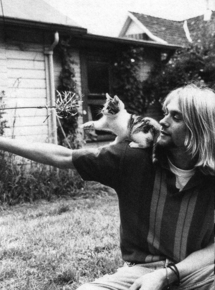 There is a cat behind every great man
