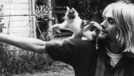 There is a cat behind every great man There is a cat behind every great man