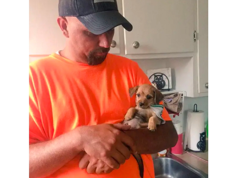 These fathers categorically did not want pets in the house, but something went wrong ...