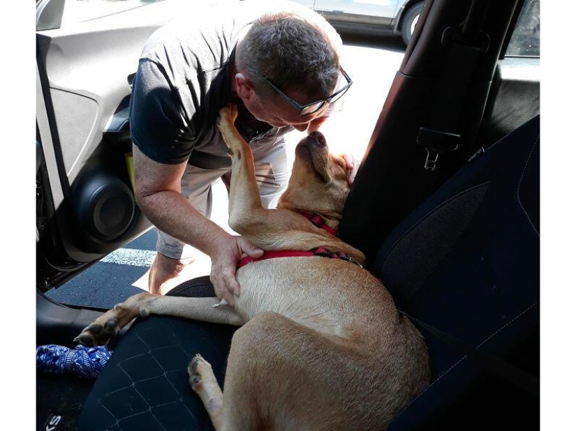 These fathers categorically did not want pets in the house, but something went wrong ...