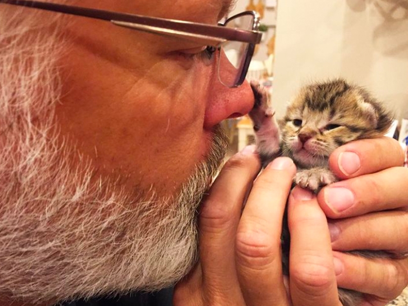 These fathers categorically did not want pets in the house, but something went wrong ...