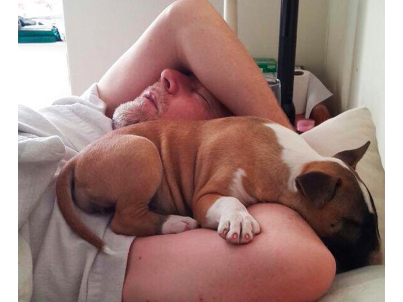 These fathers categorically did not want pets in the house, but something went wrong ...