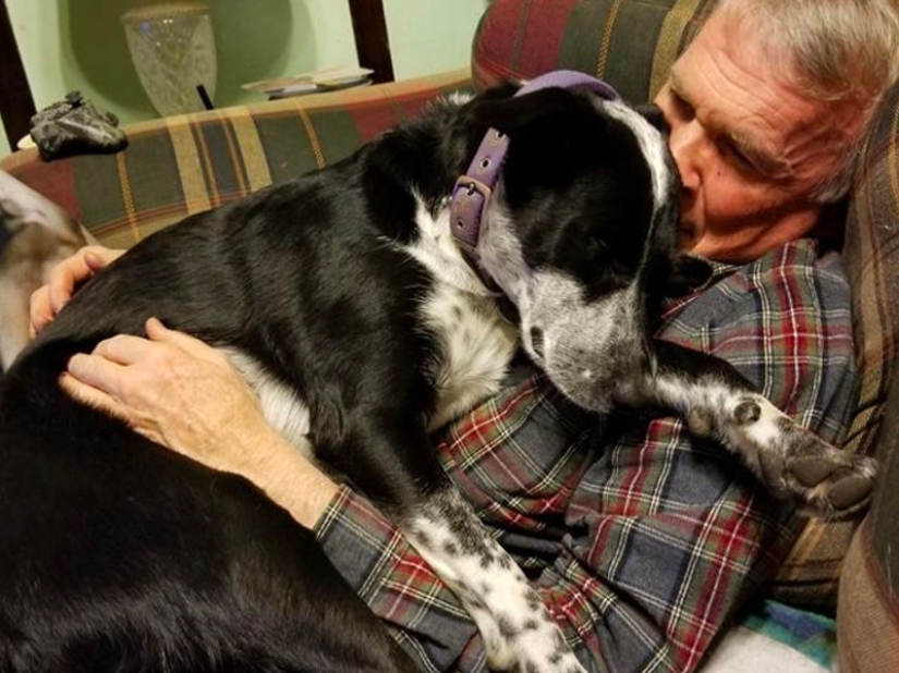 These fathers categorically did not want pets in the house, but something went wrong ...