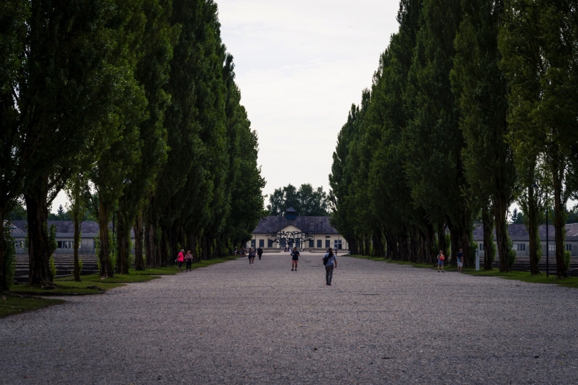 "Think how we died": a horror story in the Dachau concentration camp