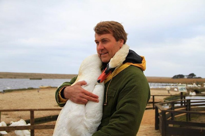 This beautiful swan hugged a man in gratitude for the rescue