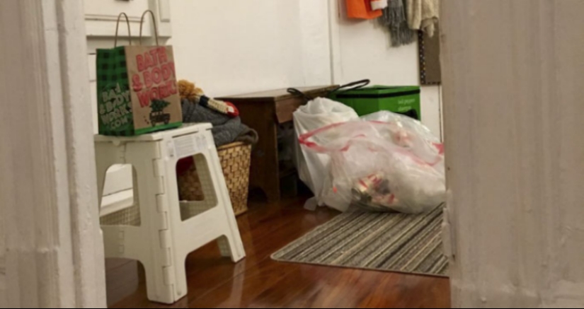 This ninja cat hides in a new place every day, and it's not so easy to find her