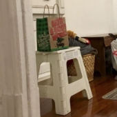 This ninja cat hides in a new place every day, and it's not so easy to find her