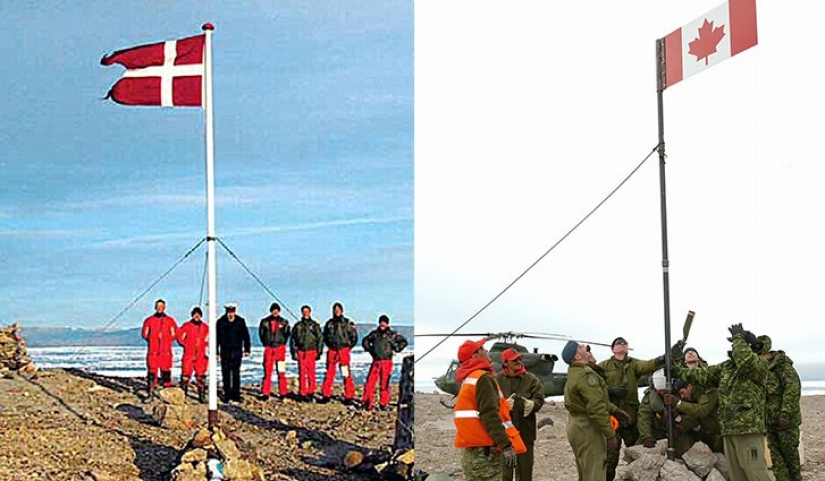 Tira y afloja: Canadá y Dinamarca luchan la Guerra más extraña de la Historia Humana