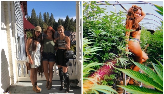 To grow hemp, fighting off bears girlfriend refused from the comfort to live "out of range"