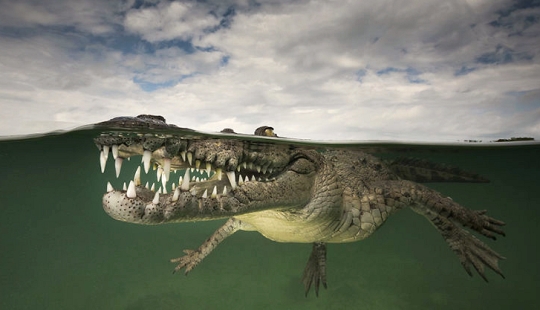 To whom is the wave, to whom is the mother dear