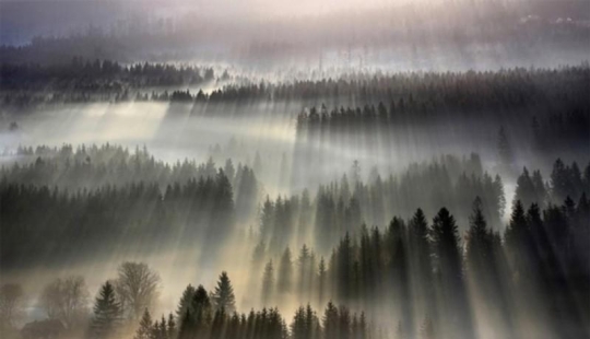 Todo es fantasmal: fotos fascinantes para los amantes del otoño